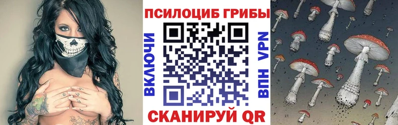 где найти наркотики  ОМГ ОМГ ТОР  Псилоцибиновые грибы GOLDEN TEACHER  Кодинск 
